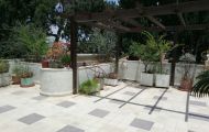 assets/images/properties/for-rent/old-katamon/ka009/WhatsApp Image 2018-06-03 at 1.50.30 PM (2) (1).jpeg