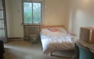 assets/images/properties/for-rent/rehavia/re009/WhatsApp Image 2018-07-24 at 1.57.57 PM (1).jpeg