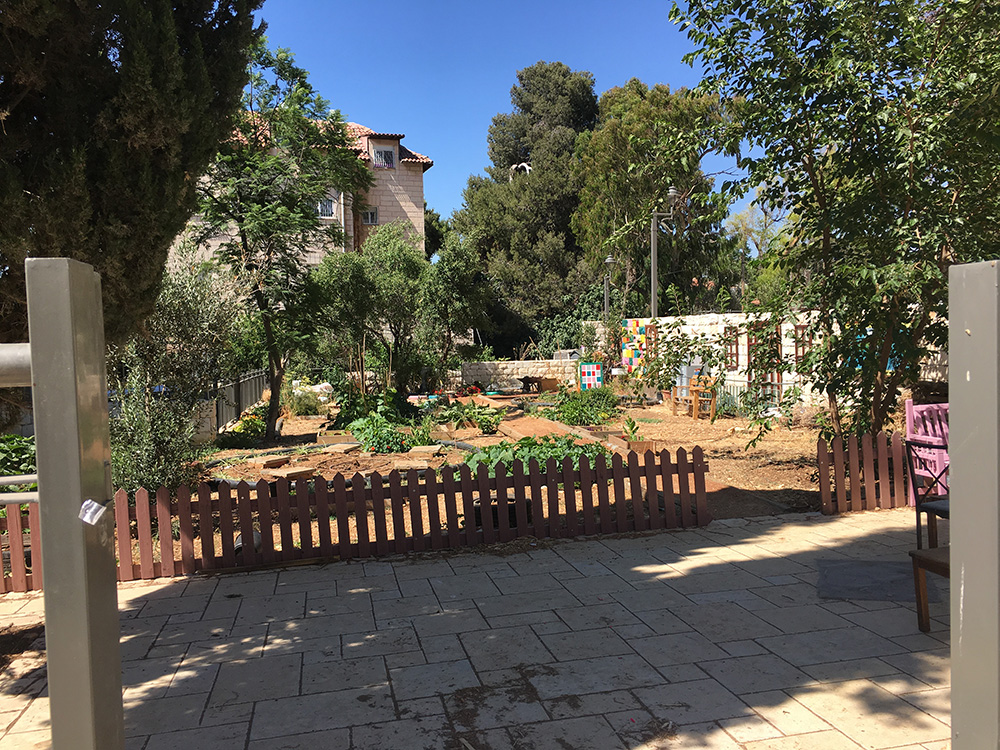 Communal Vegetable garden behind Bustan Baka