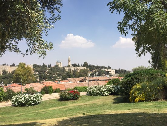 Bloomfield Park, Jerusalem