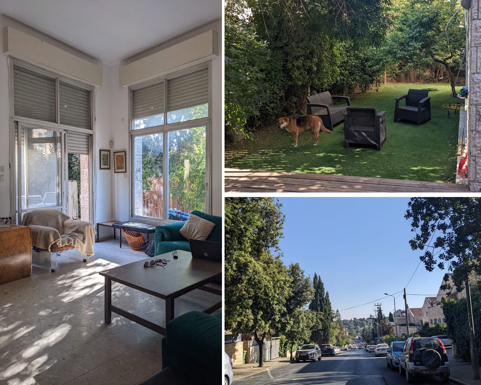 Lev Yafeh Collage