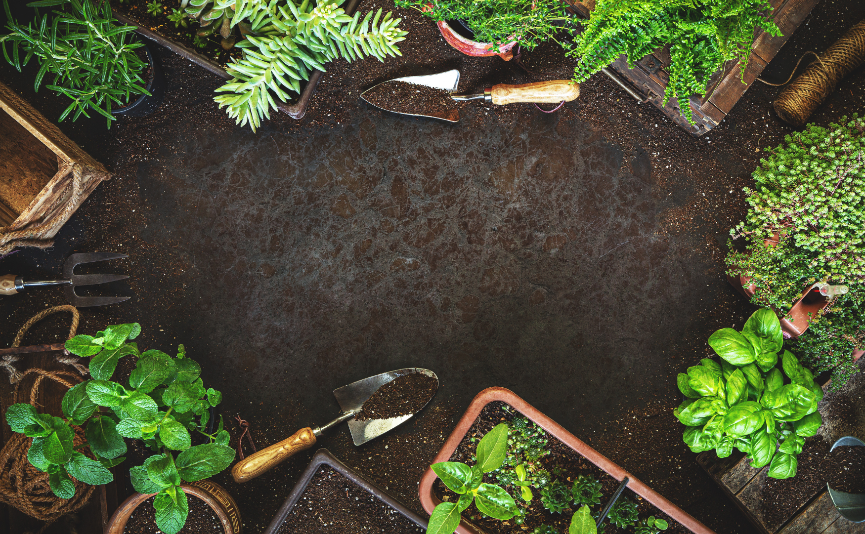 Is This Garden Mine or Not?